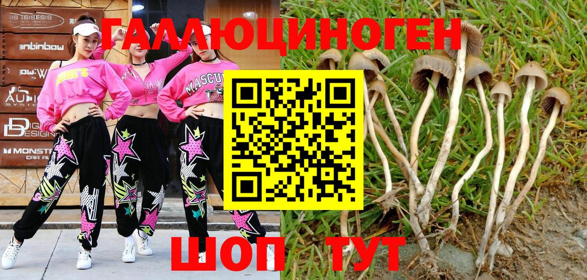 Псилоцибиновые грибы мухоморы  Псилоцибиновые грибы MAGIC MUSHROOMS  Вход с VPN  Богородицк 