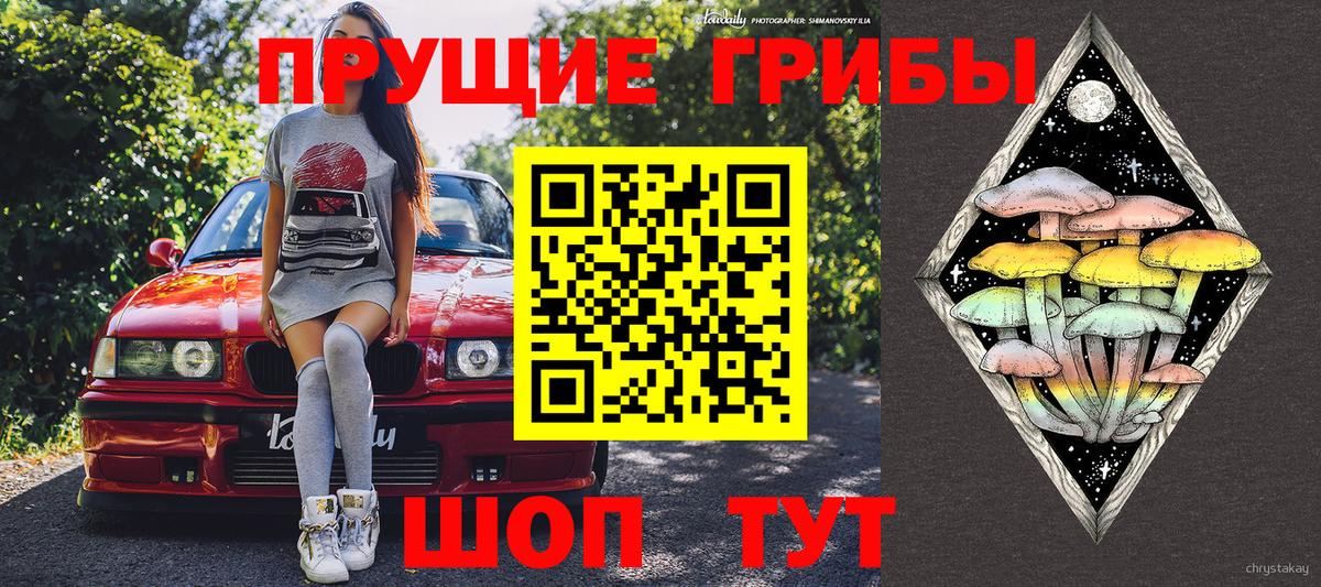 Галлюциногенные грибы Cubensis Богородицк